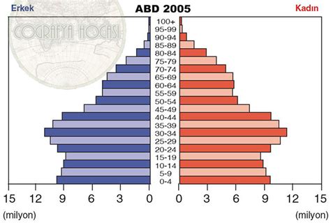 abd nüfus piramidi